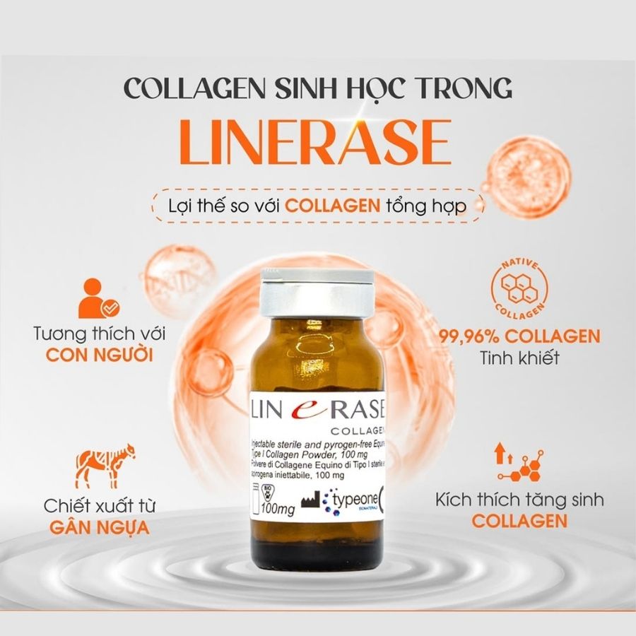639202468135819479_Collagen-Linerase-3.jpg